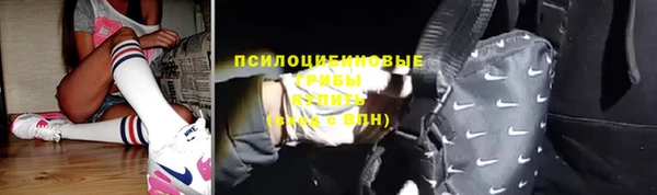 амф Богородицк