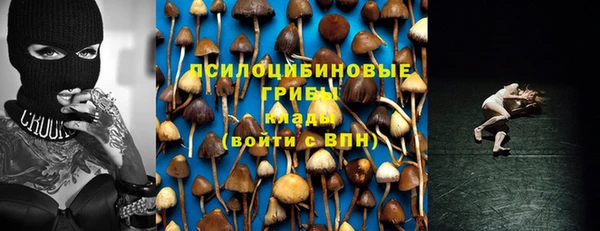 гашиш Богородск
