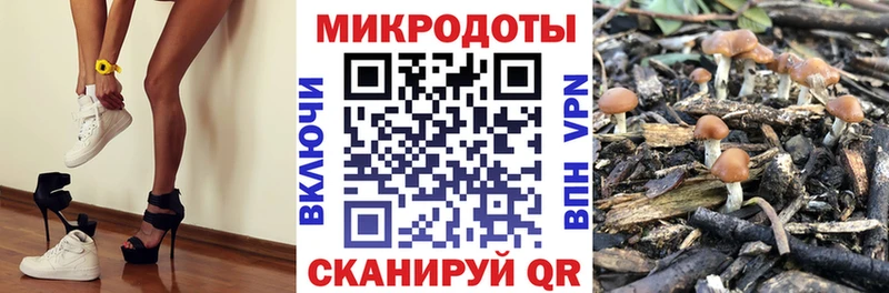 как найти наркотики  MEGA как войти  Галлюциногенные грибы Cubensis  Нарьян-Мар 